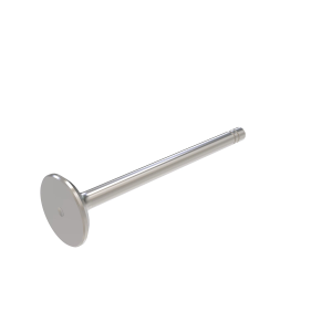 Intake Valve