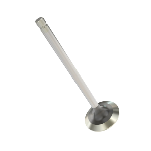 Valve