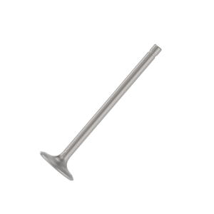 Exhaust Valve