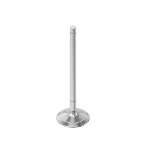 Intake Valve