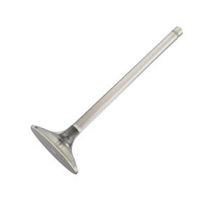Exhaust Valve