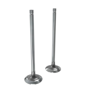 Valve Kit