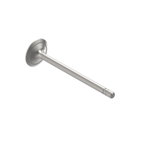 Intake Valve
