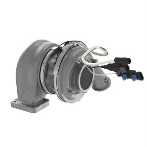 Image of RM100398