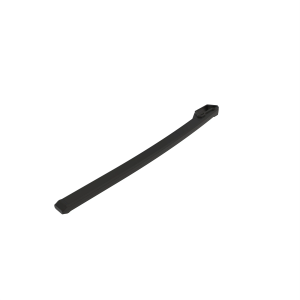 Arm