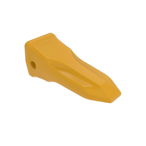 Tooth