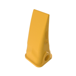 Tooth