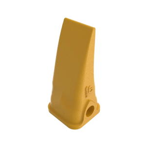 Tooth