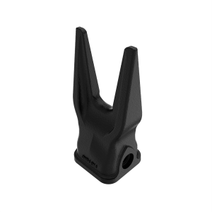 Tooth