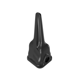 Tooth