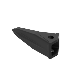 Tooth