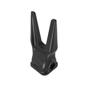 Tooth