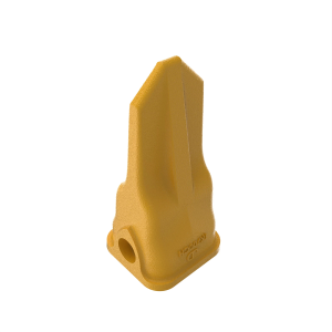 Tooth