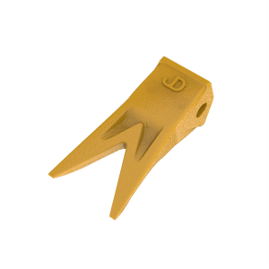 Tooth
