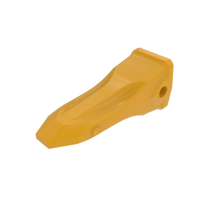 Tooth