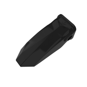 Tooth