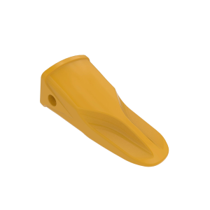 Tooth