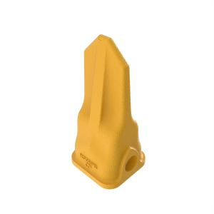 Tooth
