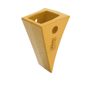 Tooth
