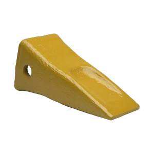 Tooth
