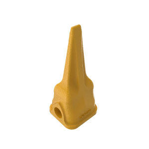 Tooth