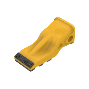 Tooth