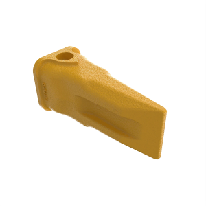 Tooth