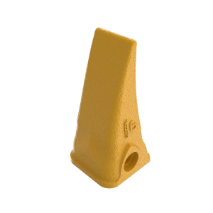 Tooth