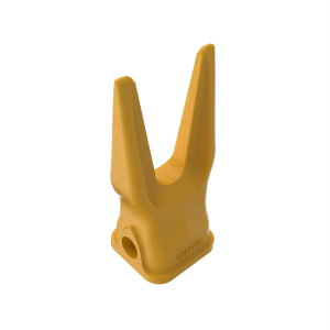Tooth