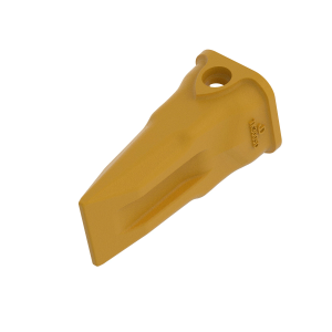 Tooth