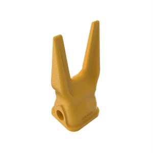 Tooth