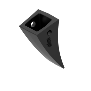Tooth