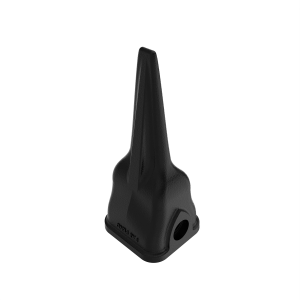 Tooth