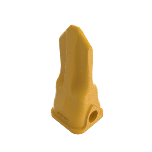 Tooth