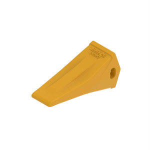 Tooth