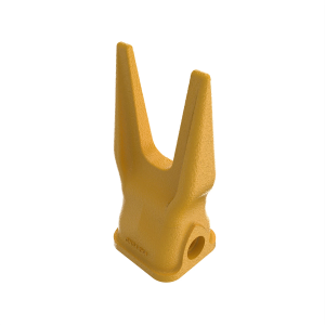 Tooth