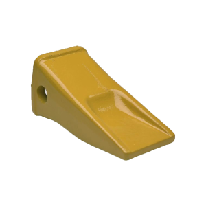 Tooth