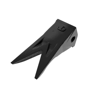 Tooth
