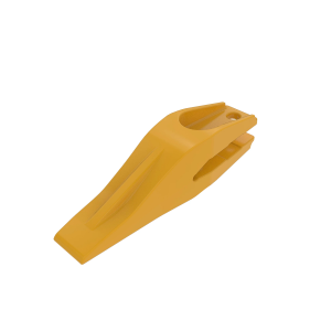 Tooth