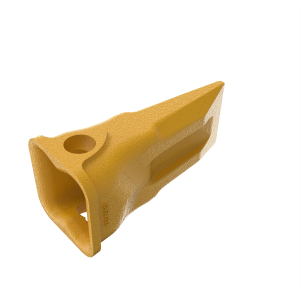 Tooth