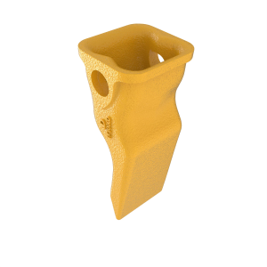 Tooth