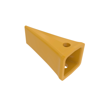 Tooth