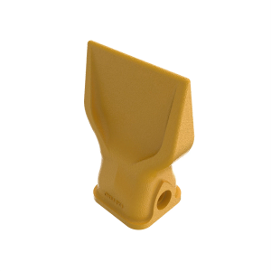 Tooth