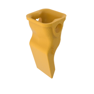Tooth