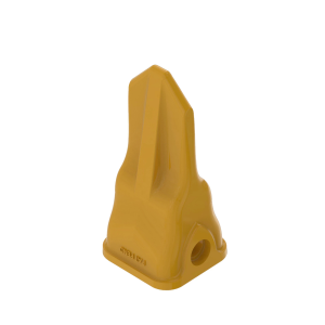 Tooth