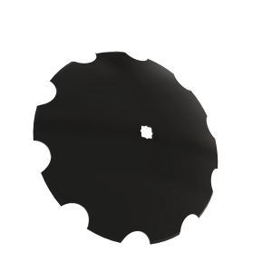 Disk