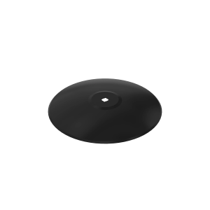 Disk