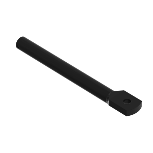 Shank