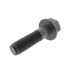 Bolt