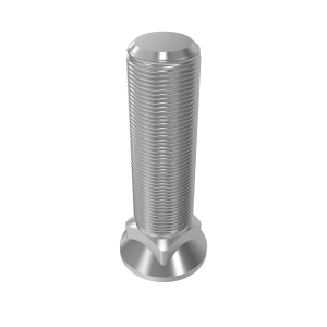 Bolt